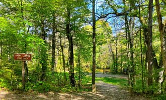 Camping near River Rock Campground: Pines Point Campground, Hesperia, Michigan