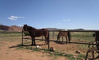 The Dyrt's photo of camping with a horse at Kens Lake Group Sites near Canyonlands National Park