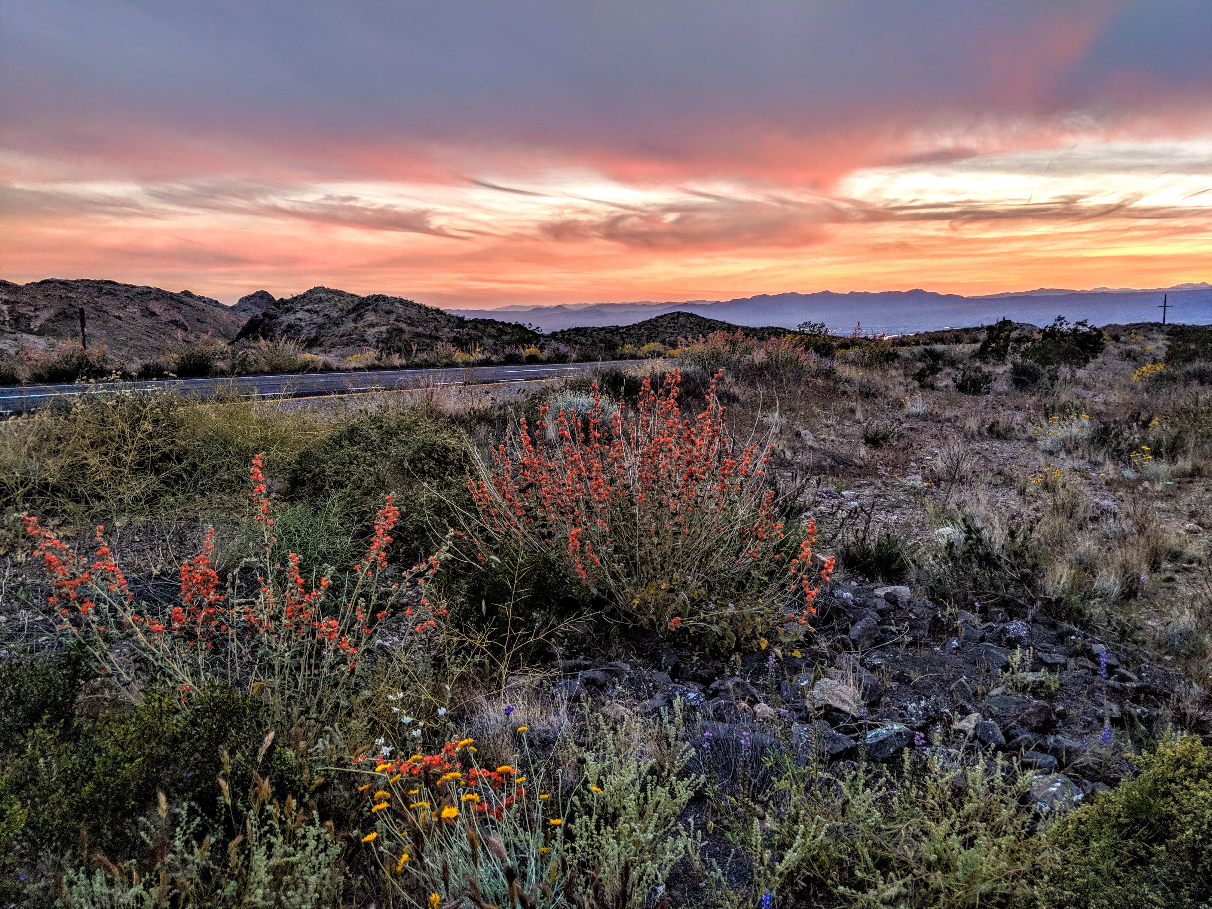 Camper submitted image from Old Kingman Highway Dispersed Camping near Bullhead City - 2