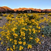 Review photo of Old Kingman Highway Dispersed Camping near Bullhead City by Shari  G., April 25, 2019