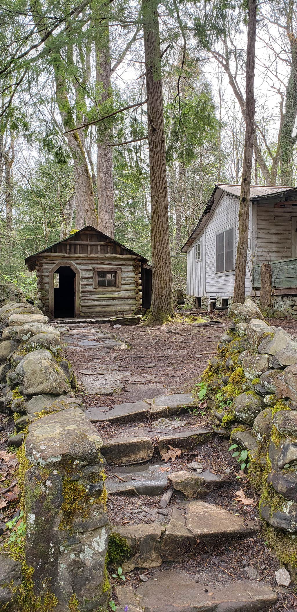 Jean C.'s photo of glamping accommodations at Elkmont Campground — Great Smoky Mountains National Park near Topton, NC