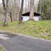Review photo of Elkmont Campground — Great Smoky Mountains National Park by Jean C., April 25, 2019