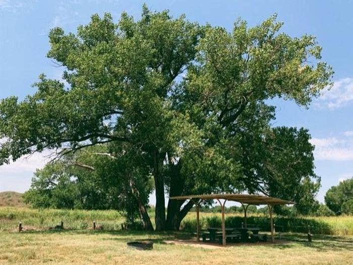 Camper submitted image from Plum Creek Campgrounds - 1