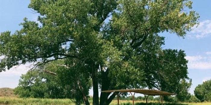 Camper submitted image from Plum Creek Campgrounds