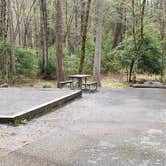 Review photo of Elkmont Campground — Great Smoky Mountains National Park by Jean C., April 25, 2019