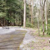Review photo of Elkmont Campground — Great Smoky Mountains National Park by Jean C., April 25, 2019
