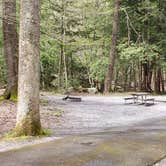 Review photo of Elkmont Campground — Great Smoky Mountains National Park by Jean C., April 25, 2019