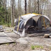Review photo of Elkmont Campground — Great Smoky Mountains National Park by Jean C., April 25, 2019
