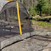 Review photo of Elkmont Campground — Great Smoky Mountains National Park by Jean C., April 25, 2019