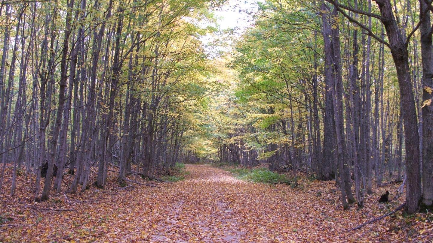 Camper-submitted photo at Freighter View Campsite on Grand Island near Marquette, MI