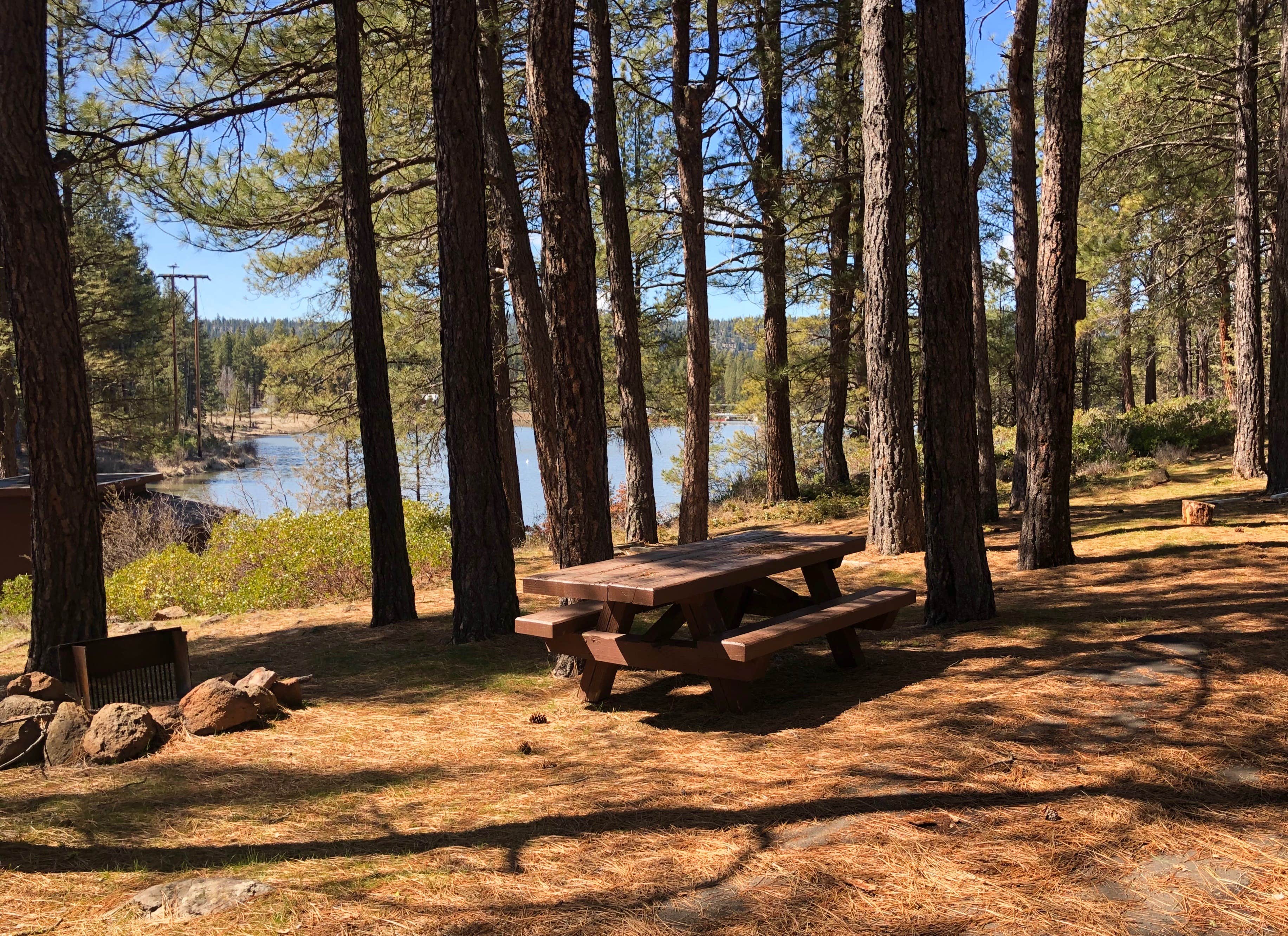 Camper submitted image from Topsy Campground - 5