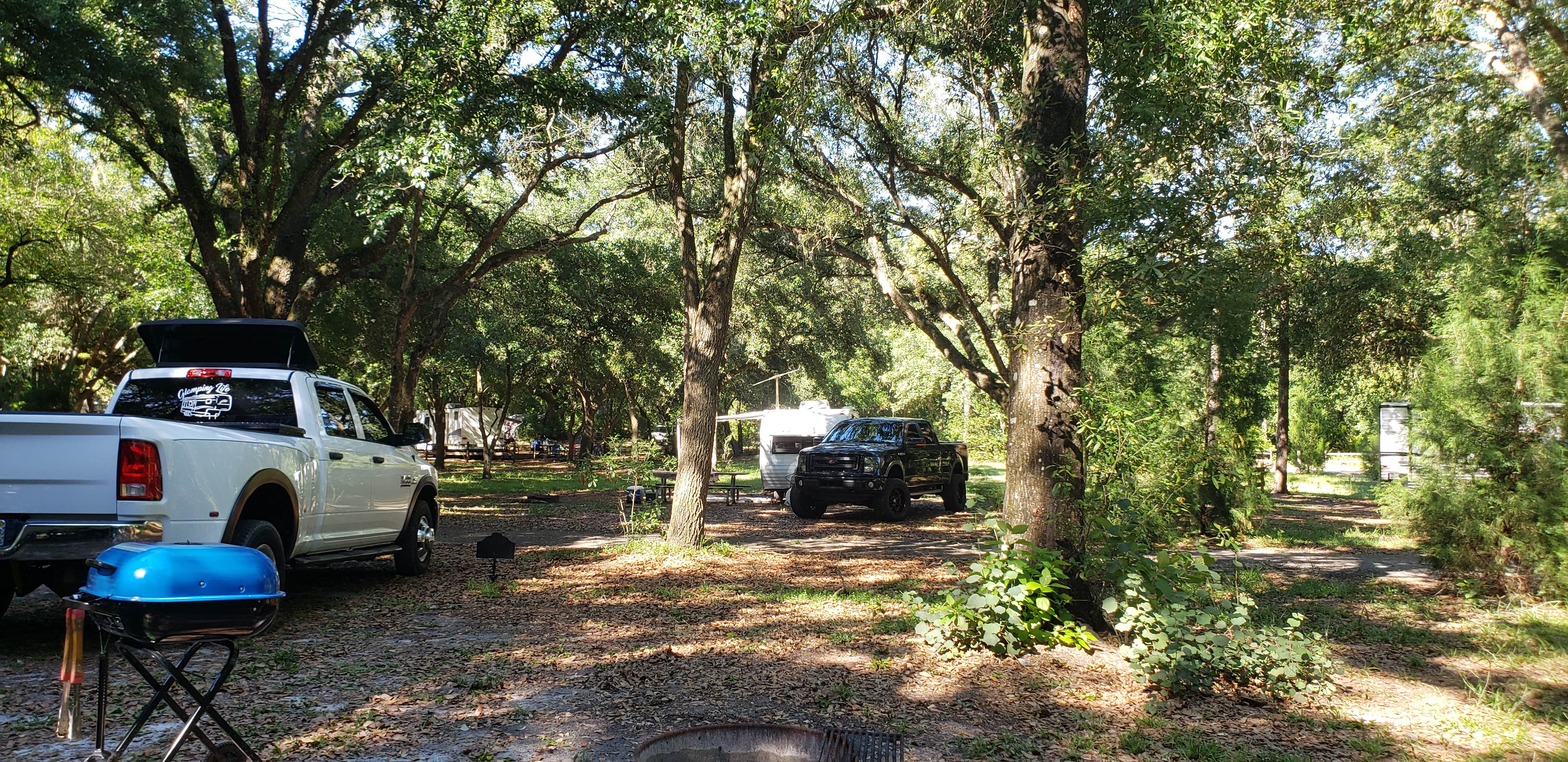 Camper-submitted photo at Withlacoochee River Park near Lutz, FL