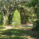 Review photo of Withlacoochee River Park by Jeanene A., April 25, 2019