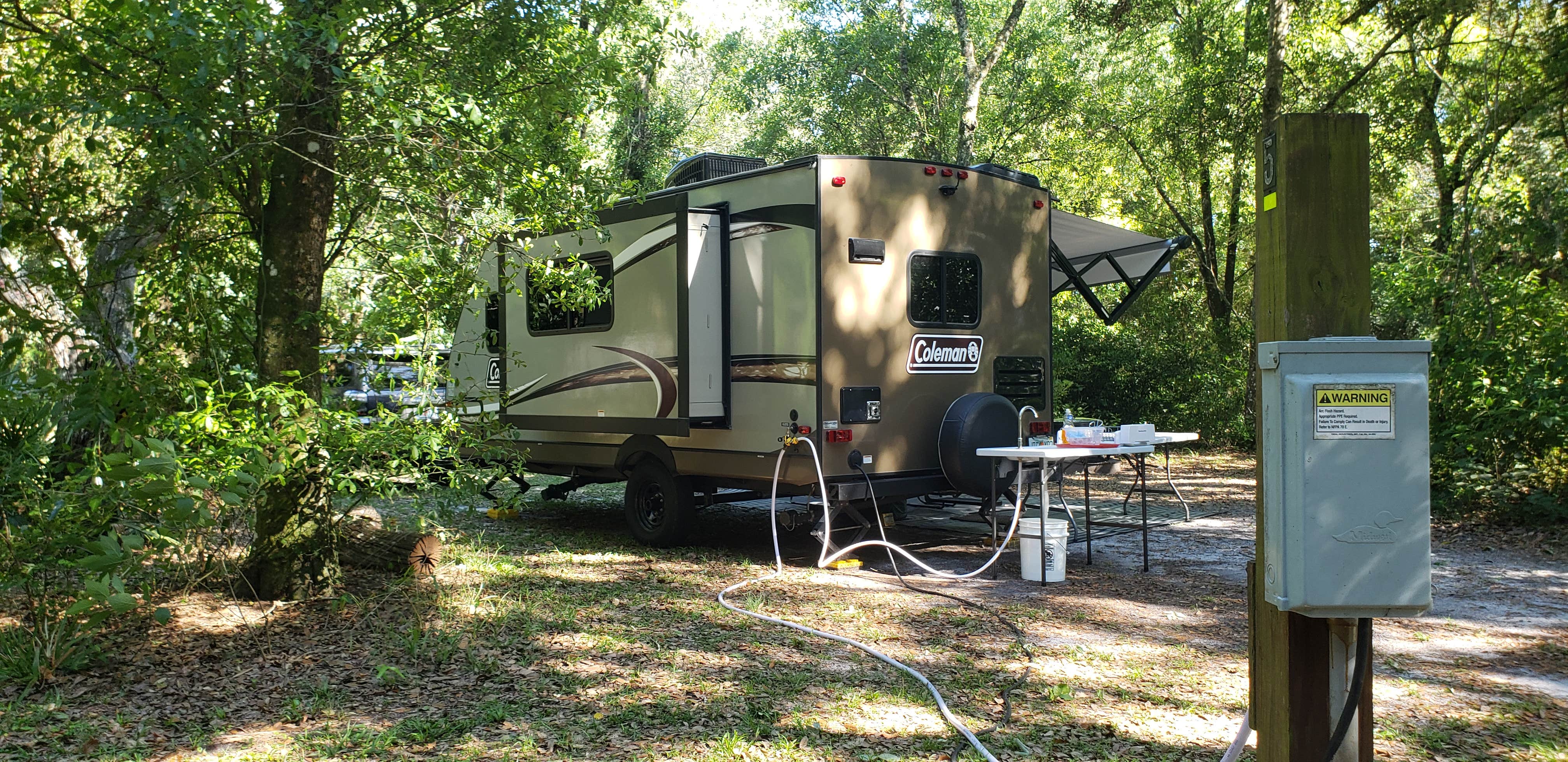 Camper submitted image from Withlacoochee River Park - 3