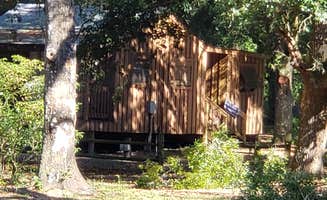 Jeanene A.'s photo of a cabin at Withlacoochee River Park near Aripeka, FL