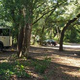 Review photo of Withlacoochee River Park by Jeanene A., April 25, 2019