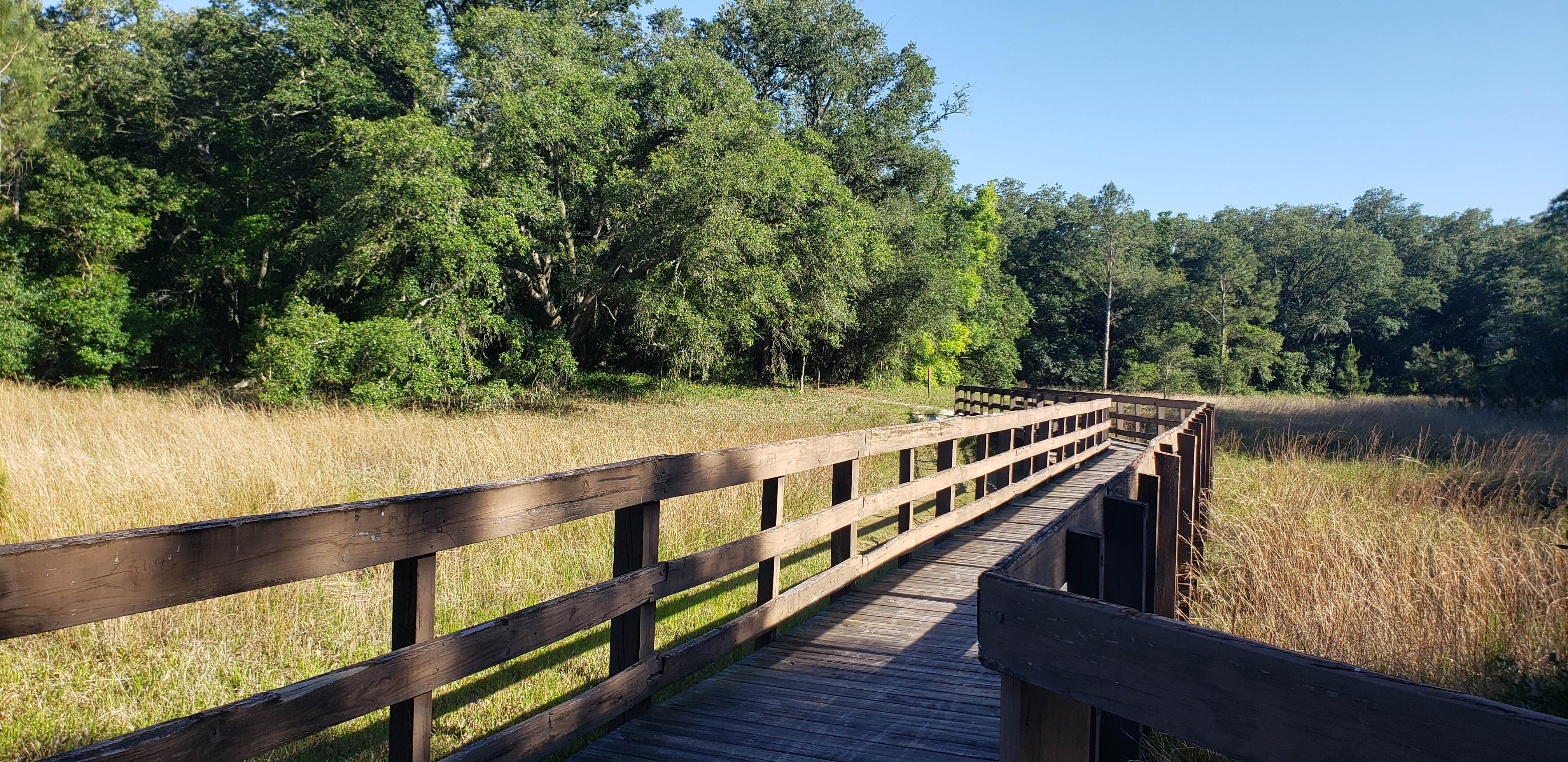 Camper-submitted photo at Withlacoochee River Park near Lutz, FL