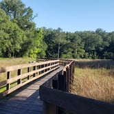 Review photo of Withlacoochee River Park by Jeanene A., April 25, 2019