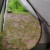 Review photo of Rock Cut State Park - Staghorn Campground by Art S., August 27, 2016