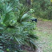 Review photo of Withlacoochee River Park by Jeanene A., April 25, 2019