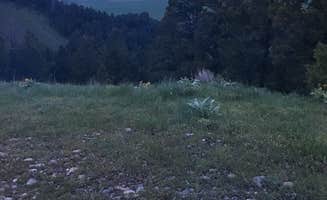 Taylor H.'s photo at Curtis Canyon Dispersed Camping near Bondurant, WY