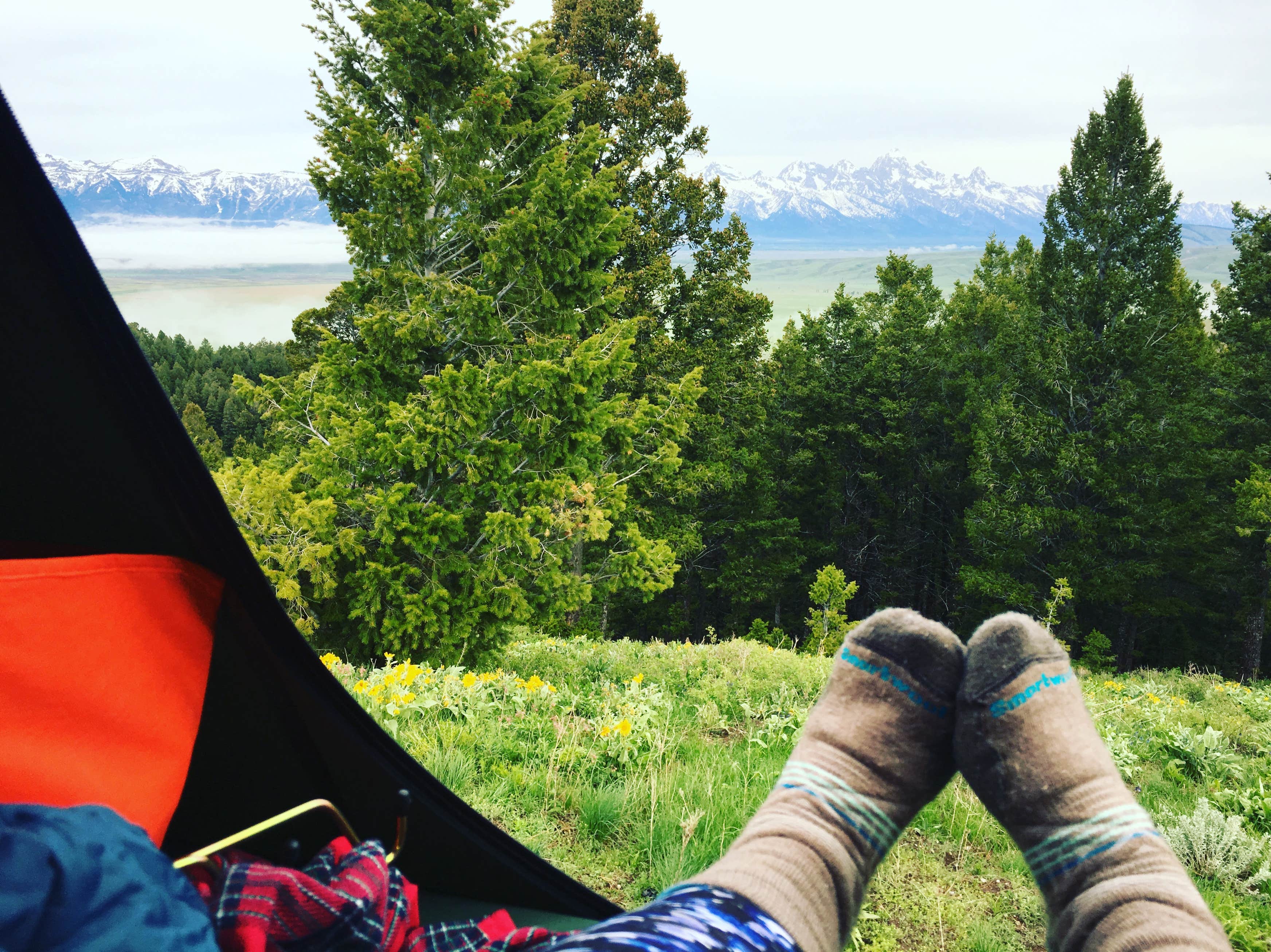 Curtis Canyon Dispersed Camping Camping The Dyrt