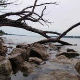 Review photo of Algonac State Park Campground by Art S., August 27, 2016