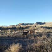 Review photo of Juniper Breaks Campground — Lake Pueblo State Park by Keri F., April 24, 2019
