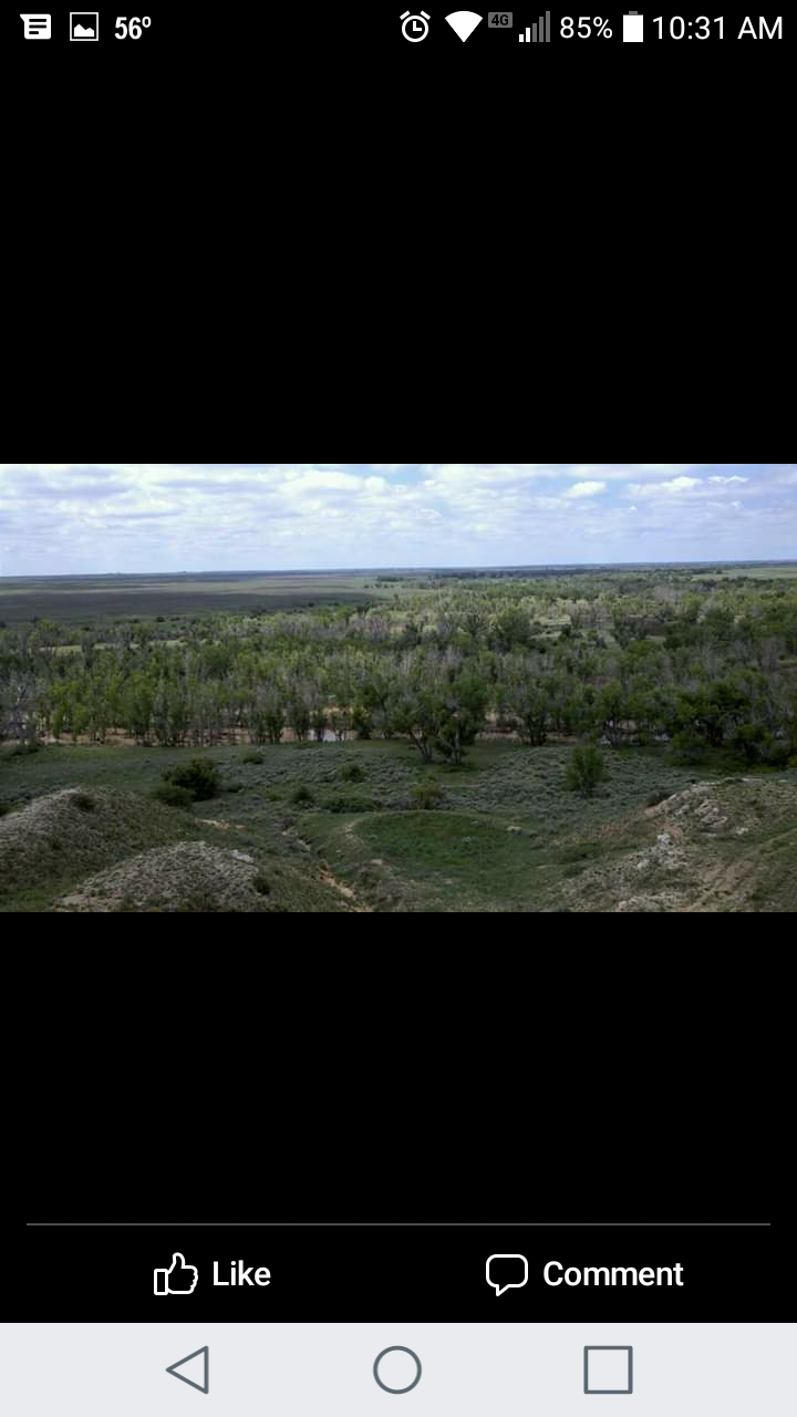 View All