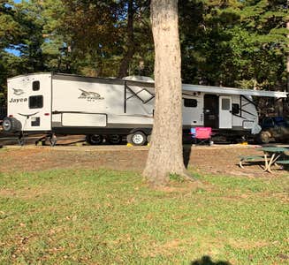 Camper-submitted photo from Sabine National Forest Ragtown