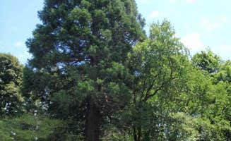 Art S.'s photo of a cabin at Orchard Beach State Park Campground near Arcadia, MI