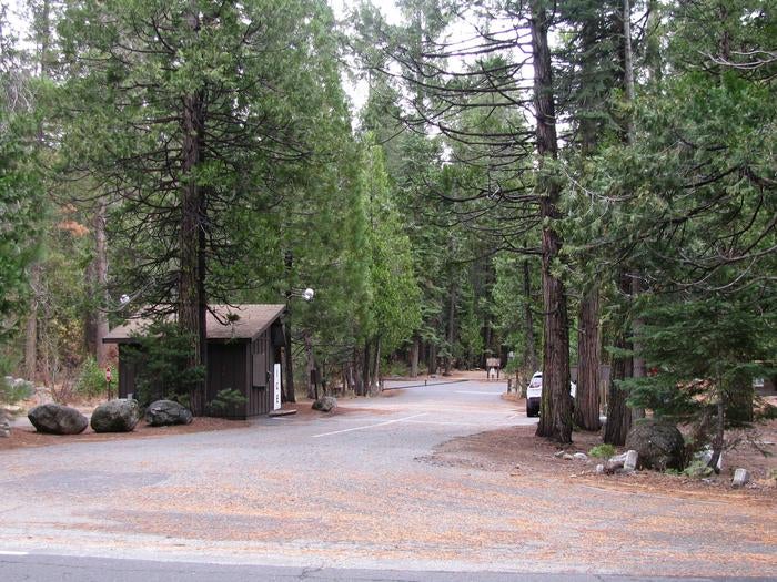 Camper submitted image from Pinecrest Campground - 1