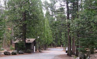 Camping near Meadowview: Pinecrest Campground, Long Barn, California