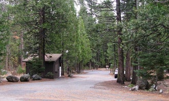 Camping near Pioneer Trail: Pinecrest Campground, Long Barn, California