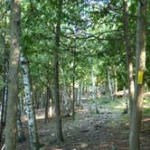 Review photo of Daisy Field Campground — Potawatomi State Park by Art S., August 27, 2016