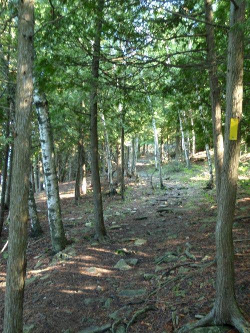 Camper submitted image from Daisy Field Campground — Potawatomi State Park - 2