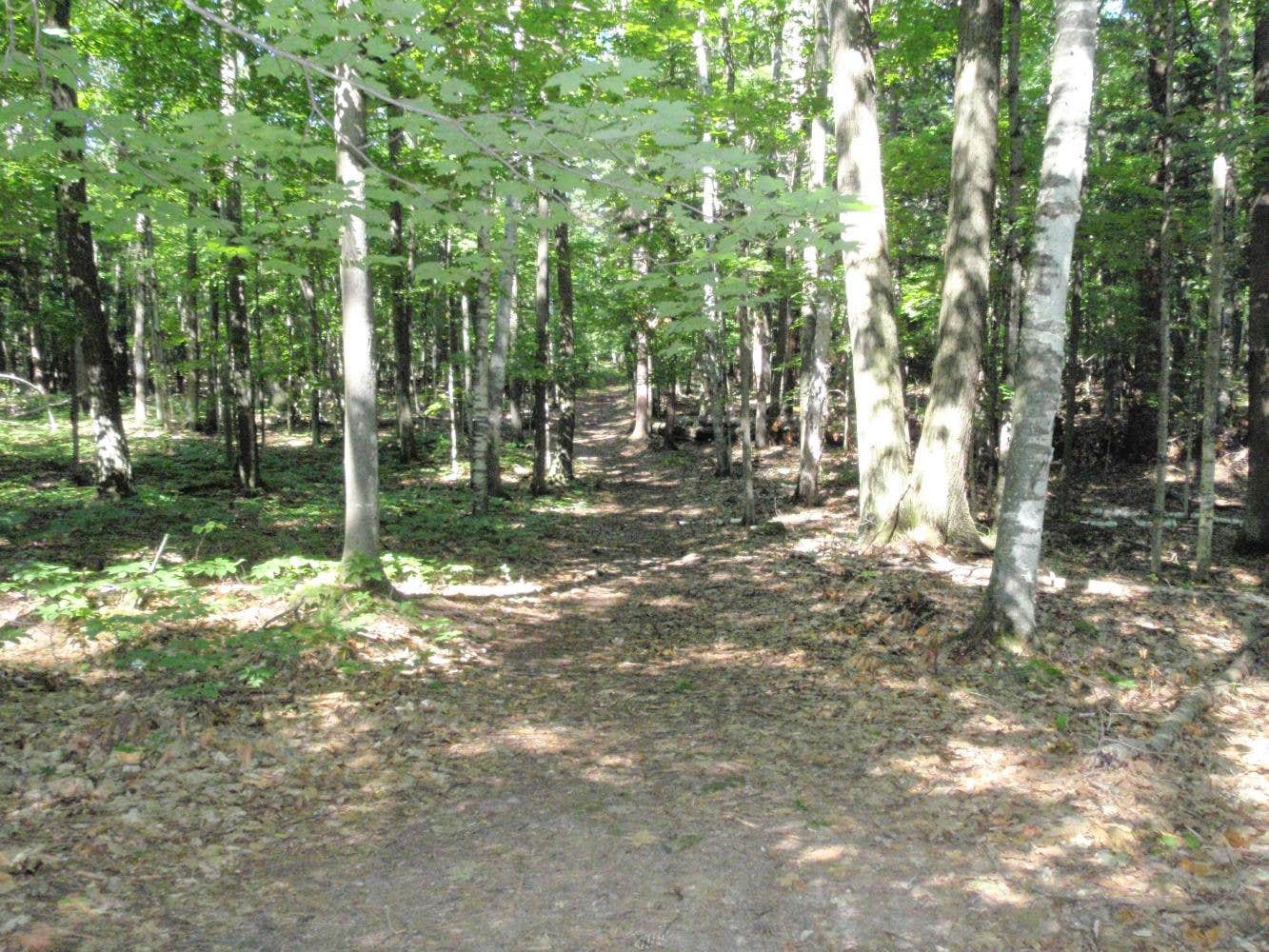 Camper-submitted photo at Daisy Field Campground — Potawatomi State Park near Sister Bay, WI