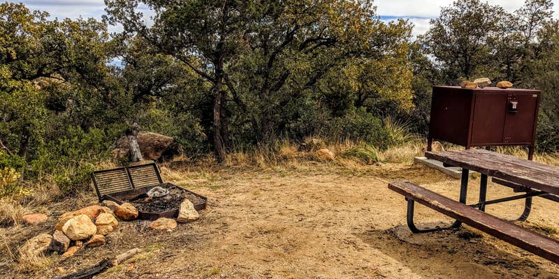 Camper submitted image from Round the Mountain Campground