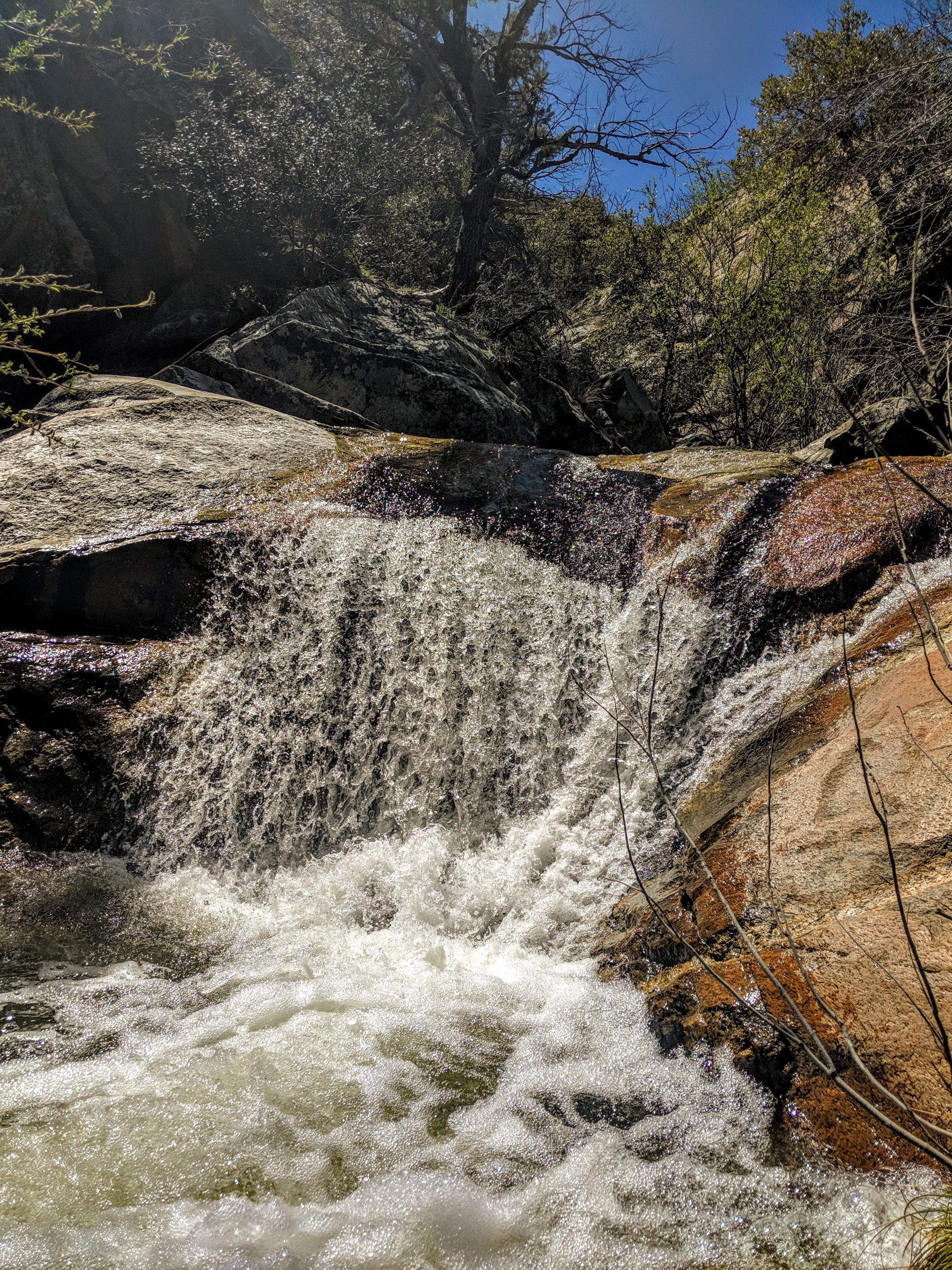 Camper-submitted photo at Round the Mountain Campground near Safford, AZ