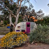 Review photo of Boulder Beach Campground — Lake Mead National Recreation Area by Shari  G., April 25, 2019