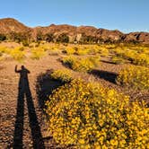 Review photo of Boulder Beach Campground — Lake Mead National Recreation Area by Shari  G., April 25, 2019