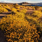Review photo of Boulder Beach Campground — Lake Mead National Recreation Area by Shari  G., April 25, 2019
