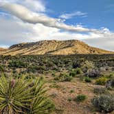 Review photo of Boulder Beach Campground — Lake Mead National Recreation Area by Shari  G., April 25, 2019