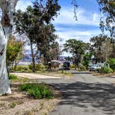 Review photo of Boulder Beach Campground — Lake Mead National Recreation Area by Shari  G., April 25, 2019