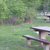 Review photo of Divide Bridge Campground by Krista  R., August 25, 2016