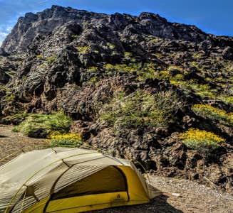 Camper-submitted photo from Black Canyon of the Colorado Dispersed — Lake Mead National Recreation Area
