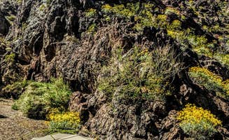 Shari  G.'s photo at Black Canyon of the Colorado Dispersed — Lake Mead National Recreation Area near Meadview, AZ