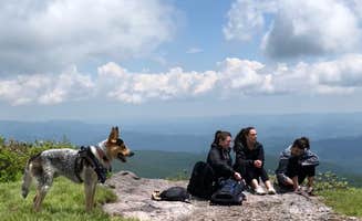 Julianne S.'s photo of camping with pets at Hickory Ridge Campground β Grayson Highlands State Park near Speedwell, VA