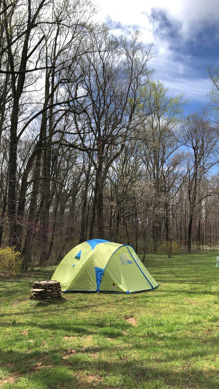 Camper submitted image from Smith Mountain Campground - 4