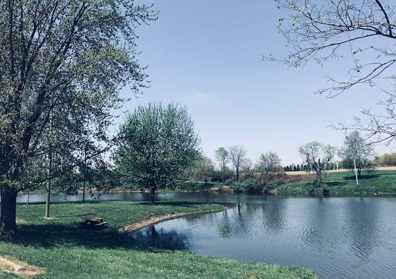 Camper submitted image from Big Fish-n-Camp Ground - 5